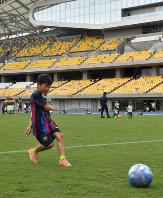 芝生でサッカーを楽しむ子ども＝カンセキスタジアムとちぎ