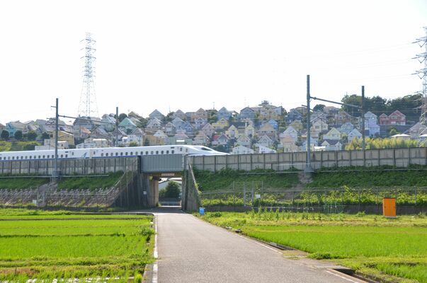 新幹線から見える町並みが話題となっている湘南日向岡住宅＝６月19日、神奈川県平塚市内
