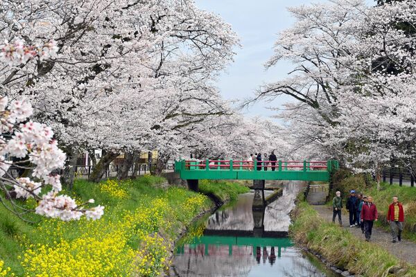 行屋川水辺公園