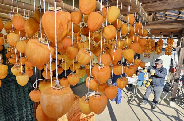 軒下にずらりと干されるオレンジ色の柿＝21日午後１時45分、茂木町河井、広瀬華撮影