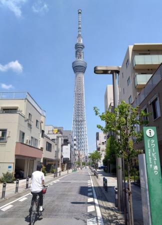 タワービュー通りから見る東京スカイツリー=東京都墨田区