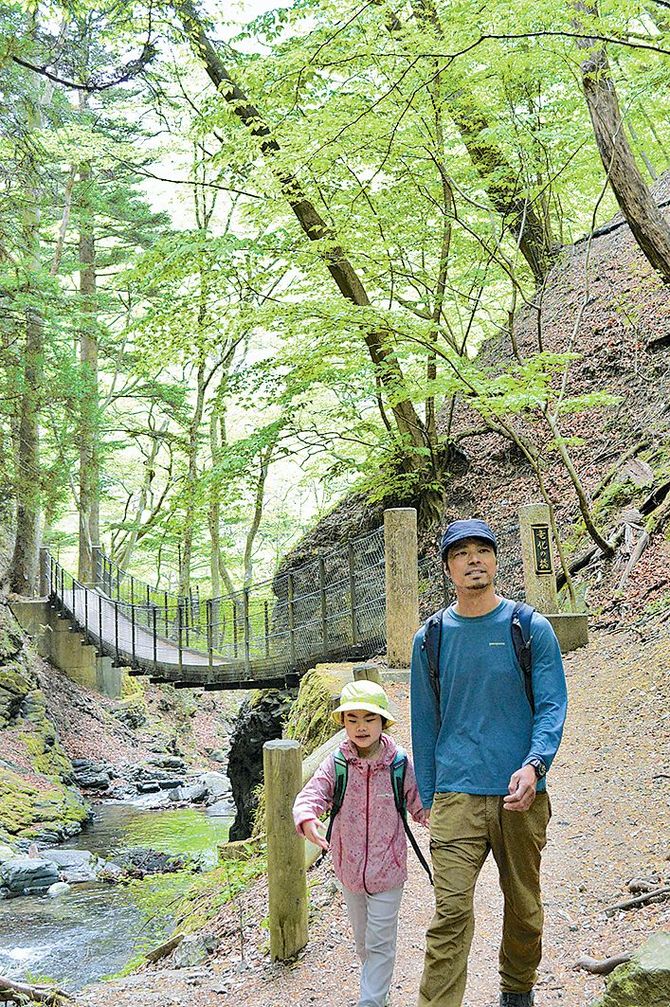 新緑の美しい景観を楽しみながら歩けるコース