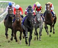 競馬、ロブチェンが重賞初制覇