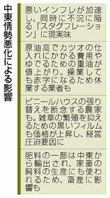 政府の影、対策後手懸念