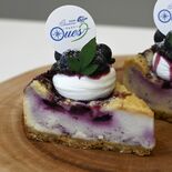 【ミヤコレ】旬の果実ふんだんに　朝取りブルーベリーチーズケーキ（パティ…
