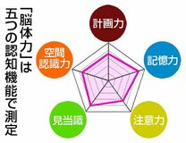 五つの認知機能で評価