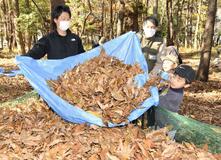 落ち葉集め 虫のすみかに