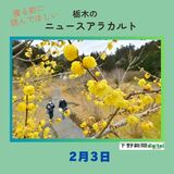 2月3日の栃木県内ニュース「春告げるロウバイ、里山彩る　鹿沼」など3本をお届けします