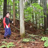 【とちぎ戦後80年】林に埋もれた戦争遺構　那須野飛行場の無蓋掩体壕　学芸員と巡った現地