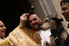 「おあずけ」なし