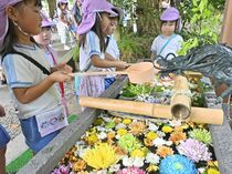 菊の花手水を囲む