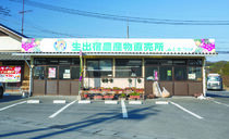 地元産にこだわった「いちご大福」JAしもつけ 都賀生出宿里の駅直売所