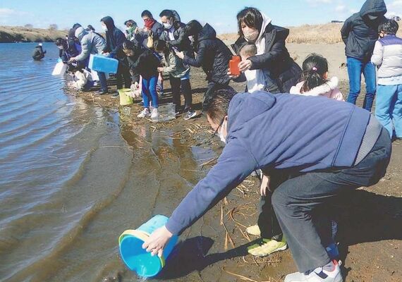 渡良瀬川河畔で行われたサケの稚魚の放流（佐野市渡良瀬川にサケを放す会提供）
