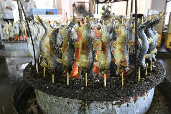 いろりでじっくりと焼き上げられるアユ