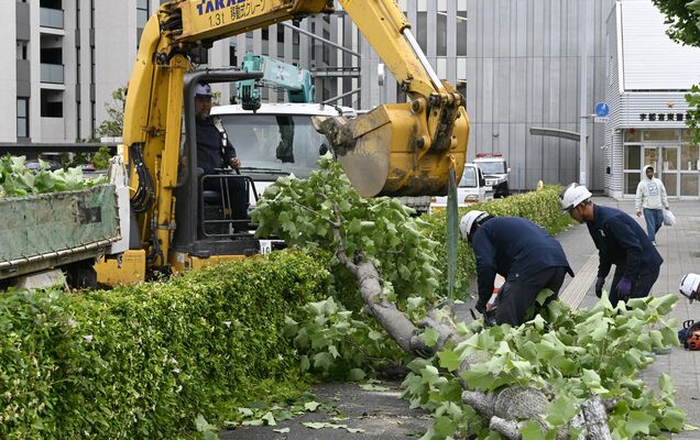 ＪＲ宇都宮駅東口の倒木を撤去する業者＝31日午後６時５分、宇都宮市宮みらい
