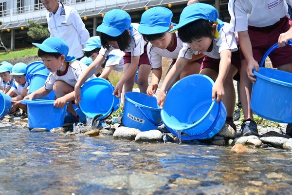 バケツから稚アユを放つ園児たち
