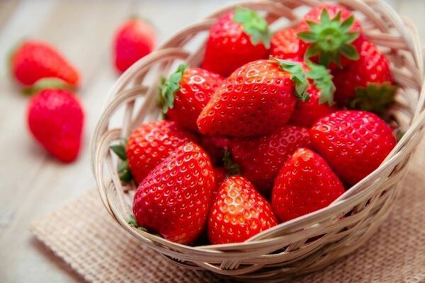 総選挙で１位に輝いた「とちあいか」（ビビッドガーデン提供）