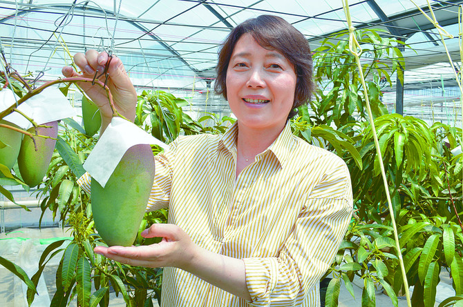 グリーンキンコーと鈴木栄子さん。色はグリーンのままで時期を見極めて収穫し、追熟します。完熟の風味は格別！