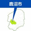 鹿沼で電線2本8メートル焼く