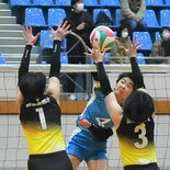 文星女18年ぶり優勝　男子は足利大付３連覇　県高校新人バレー