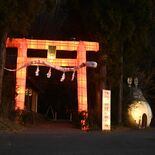 行灯大鳥居、今年はオレンジ　下野の星宮神社、宮司「みんなが元気に」
