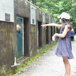 「さかなと森の観察園」６年ぶり無料公開　日光、淡水魚の生態知って