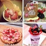 「いちごフェア」道の駅いちかいで初開催　13日から、菓子店など７店が1…