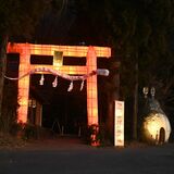 行灯大鳥居、今年はオレンジ　下野の星宮神社、宮司「みんなが元気に」