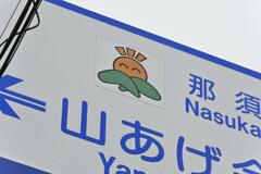 地形や豊かな自然表現