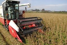 ＜76＞消費者の関心高まる国産大豆　味と安心感