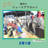 2月1日の栃木県内ニュース　「ゾウと一緒に豆をまくぞう！　那須ワールドモンキーパークで節分イベント」など3本をお届けします