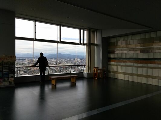 県庁１５階の展望ロビーから宇都宮市内をながめる体験居住参加者（宇都宮市提供）