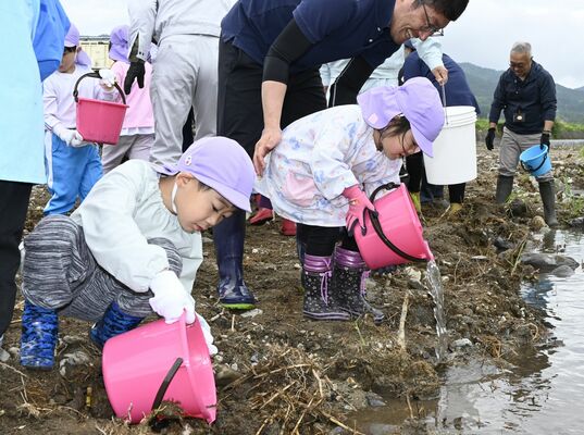 稚アユを放流する園児たち