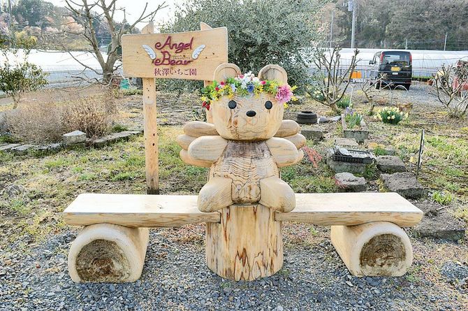 同園のマスコットAngel Bear