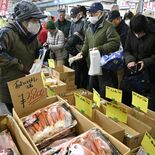 小山・県南地方卸売市場で元気朝市「年末特別開放」　30日まで正月用食材…