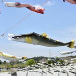 あゆ“遡上”青空すいすい　大田原・なかがわ水遊園　「あゆのぼり」始まる