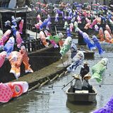 「いいこい」だけに1151匹　船上で悠々　栃木「うずまの鯉のぼり」５月15日まで