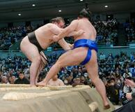 豊昇龍連敗免れる、安青錦３勝目
