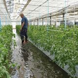 裏山崩れ、土砂が民家襲う　ハウス浸水、作物に打撃も　県内大雨被害