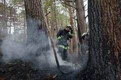 岩手火災、避難指示の大半解除