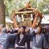 みこし巡行、威勢よく　４年ぶりに伝統の「佐野まつり」　家内安全や商売繁盛祈る