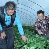 研修から定着まで支援　就農者呼び込みへ打開策