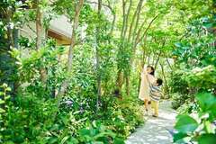 積水ハウスの庭づくり「5本の樹」計画 25年間の成果をまとめたホワイトペーパーを7月14日より公開