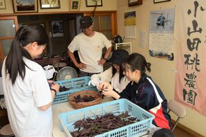 小山田さん（左から２人目）方で農業体験をする生徒
