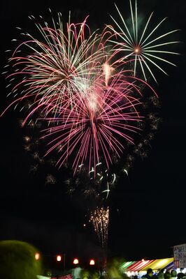 夜空を色鮮やかに彩った花火