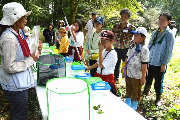 東島田ふるさとの森で昨年８月に行われた観察会