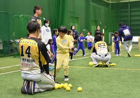 未就学児向けの野球体験会「わくわくボールぱーく」に参加する園児ら