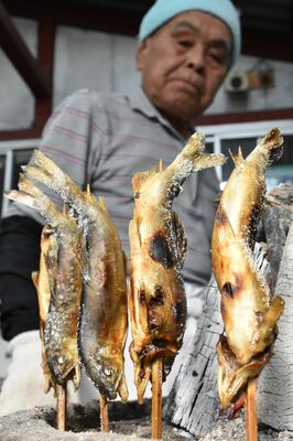 炭火で焼かれた脂の乗った落ちアユ