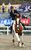 馬術成年女子二段階障害飛越　ライフ・イズ・ビューティフル号を操り、優勝した広田思乃＝那須塩原市の地方競馬教養センター