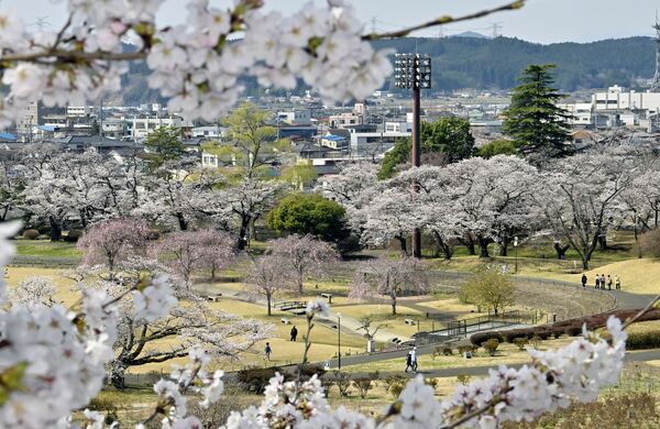 長峰公園（矢板市）